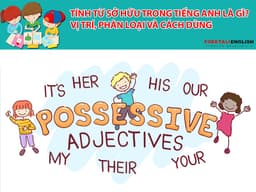 Tính từ sở hữu trong tiếng Anh là gì? Vị trí, phân loại và cách dùng