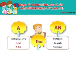 Mạo từ trong tiếng Anh là gì? Cách sử dụng mạo từ a, an, the