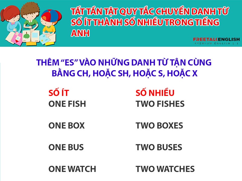 Tất tần tật quy tắc chuyển danh từ số ít thành số nhiều trong tiếng Anh