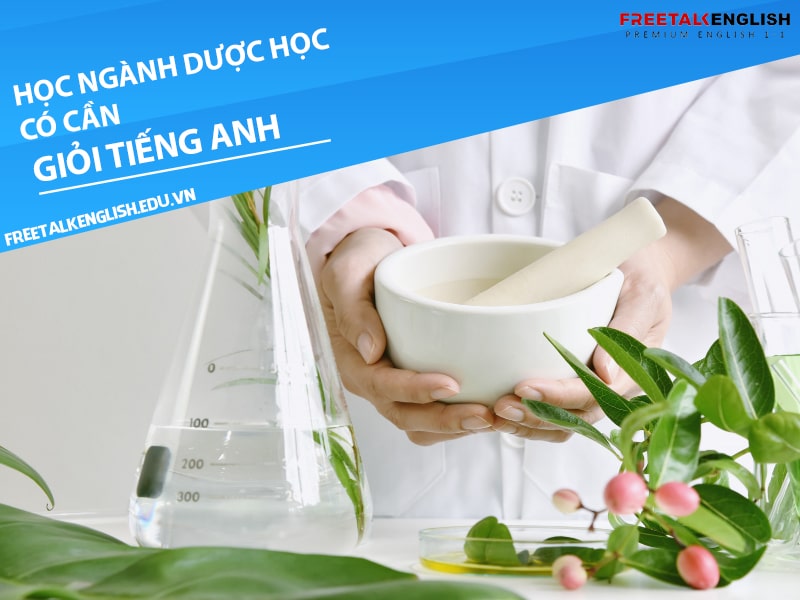 Học ngành dược học có cần giỏi tiếng Anh không?