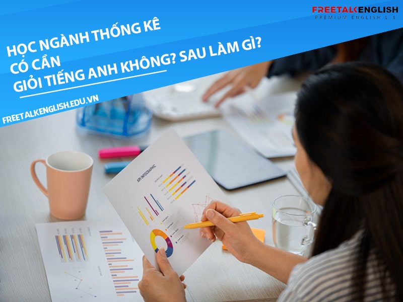 Học ngành thống kê có cần giỏi tiếng Anh không? Sau làm gì?