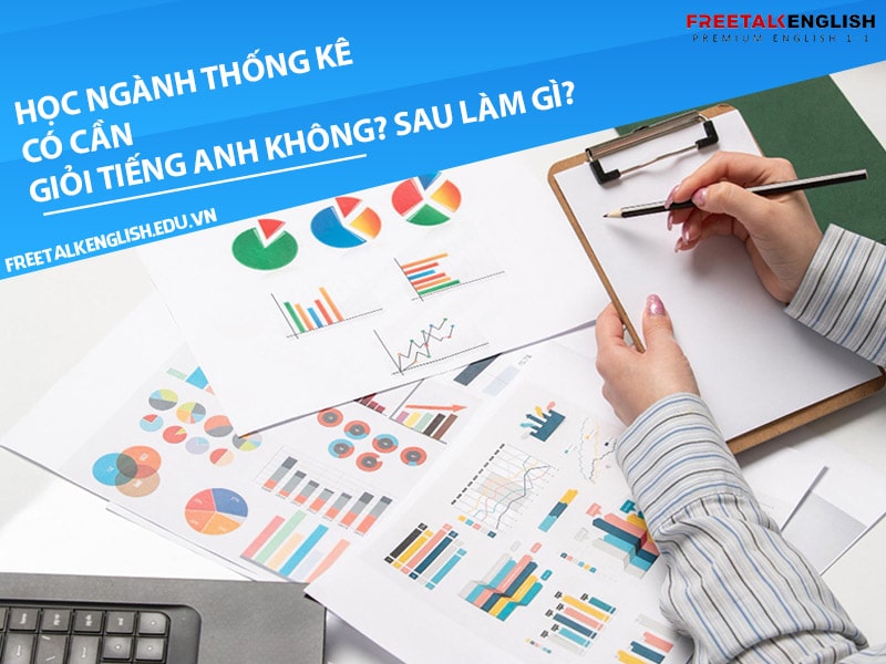 Học ngành thống kê có cần giỏi tiếng Anh không? Sau làm gì?