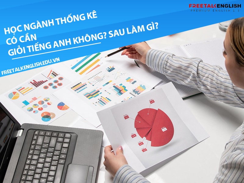 Học ngành thống kê có cần giỏi tiếng Anh không? Sau làm gì?