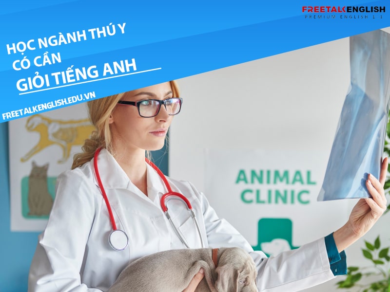 Học ngành thú y có cần giỏi tiếng Anh không?