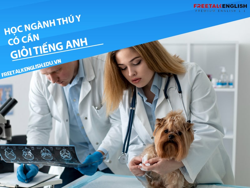 Học ngành thú y có cần giỏi tiếng Anh không?