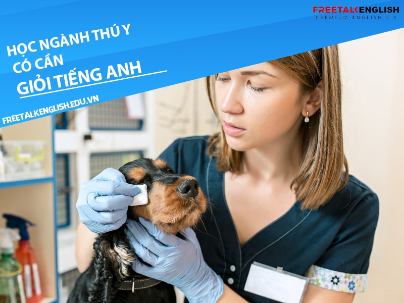 Học ngành thú y có cần giỏi tiếng Anh không?