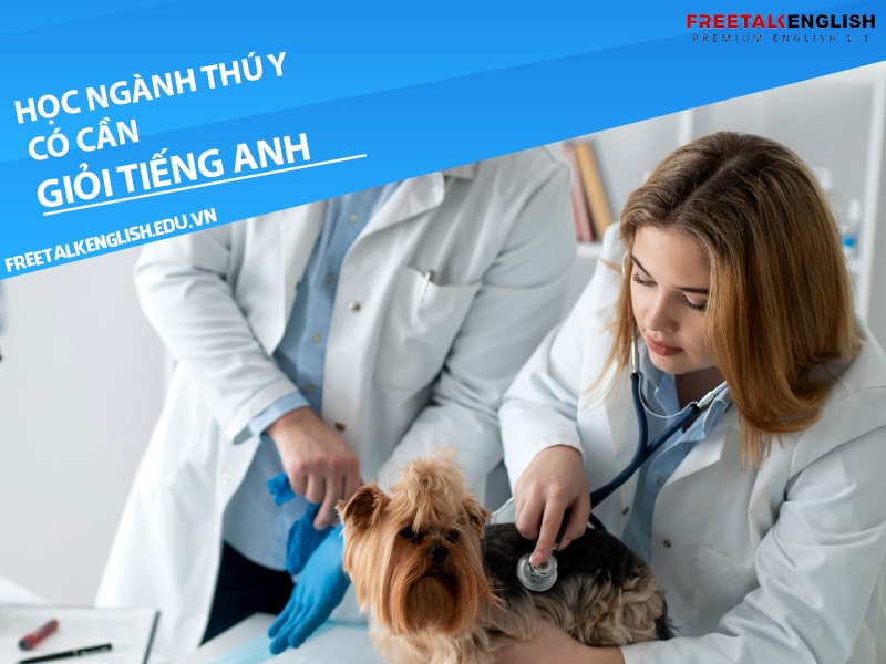 Học ngành thú y có cần giỏi tiếng Anh không?