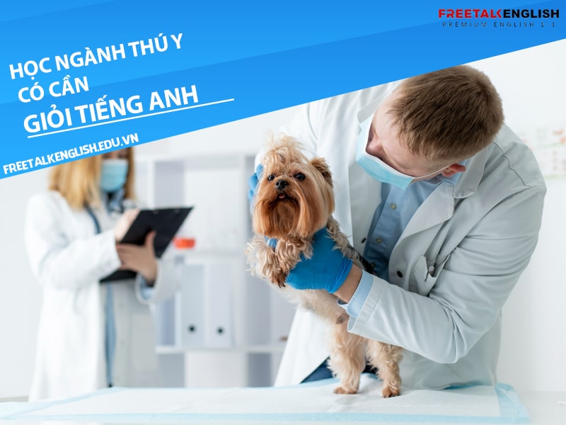 Học ngành thú y có cần giỏi tiếng Anh không?