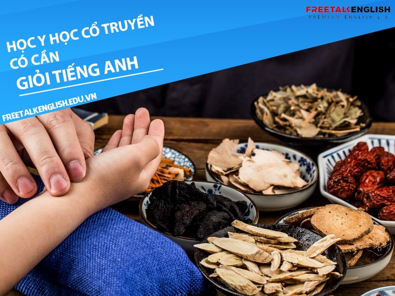 Học ngành y học cổ truyền có cần giỏi tiếng Anh không?