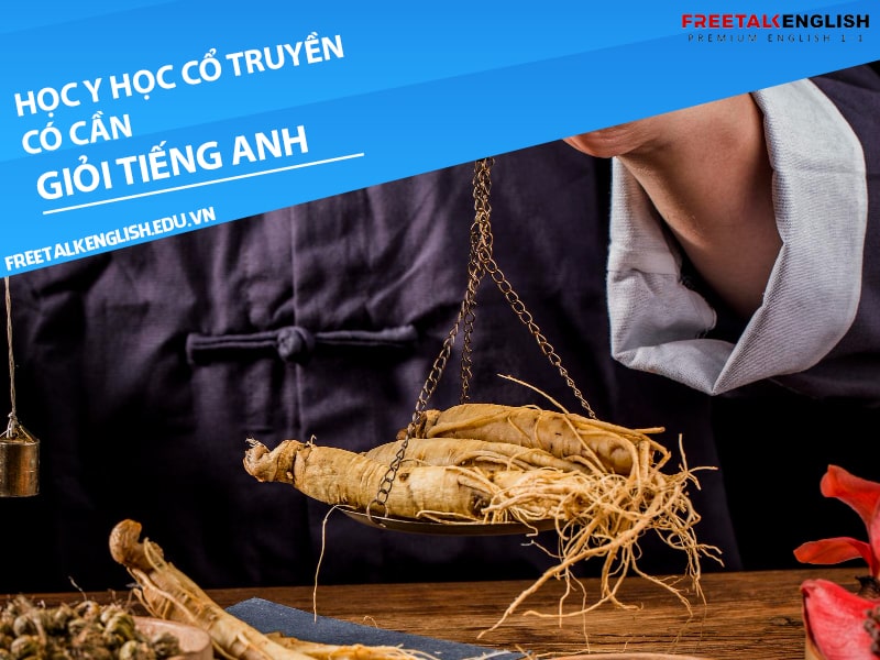 Học ngành y học cổ truyền có cần giỏi tiếng Anh không?
