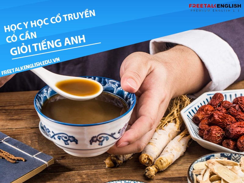 Học ngành y học cổ truyền có cần giỏi tiếng Anh không?