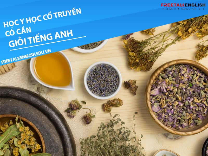 Học ngành y học cổ truyền có cần giỏi tiếng Anh không?