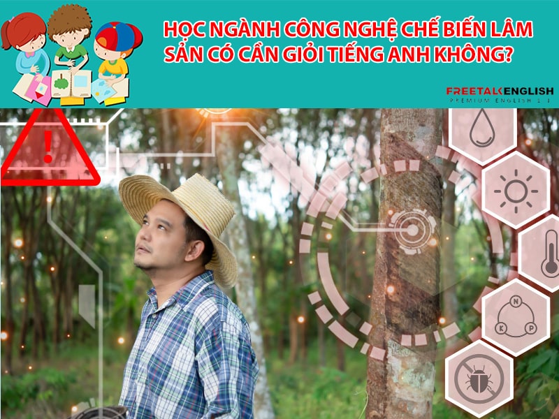 Học ngành Công nghệ chế biến lâm sản có cần giỏi tiếng Anh không?
