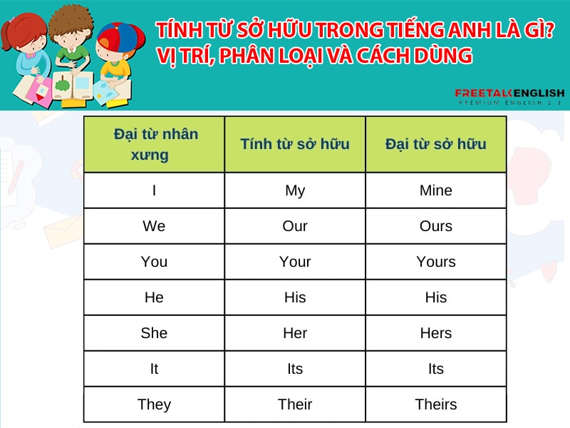 Tính từ sở hữu trong tiếng Anh là gì? Vị trí, phân loại và cách dùng