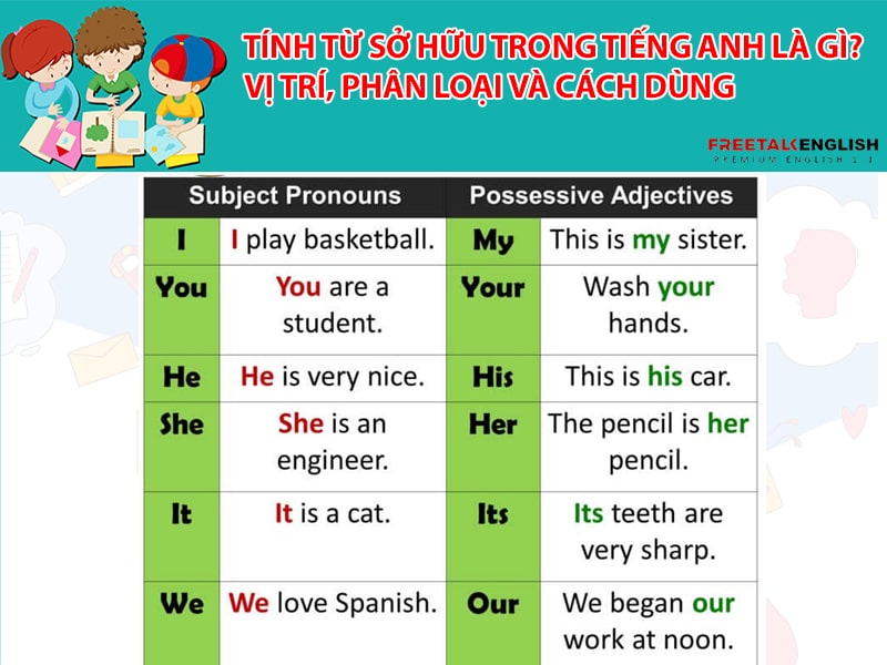 Tính từ sở hữu trong tiếng Anh là gì? Vị trí, phân loại và cách dùng