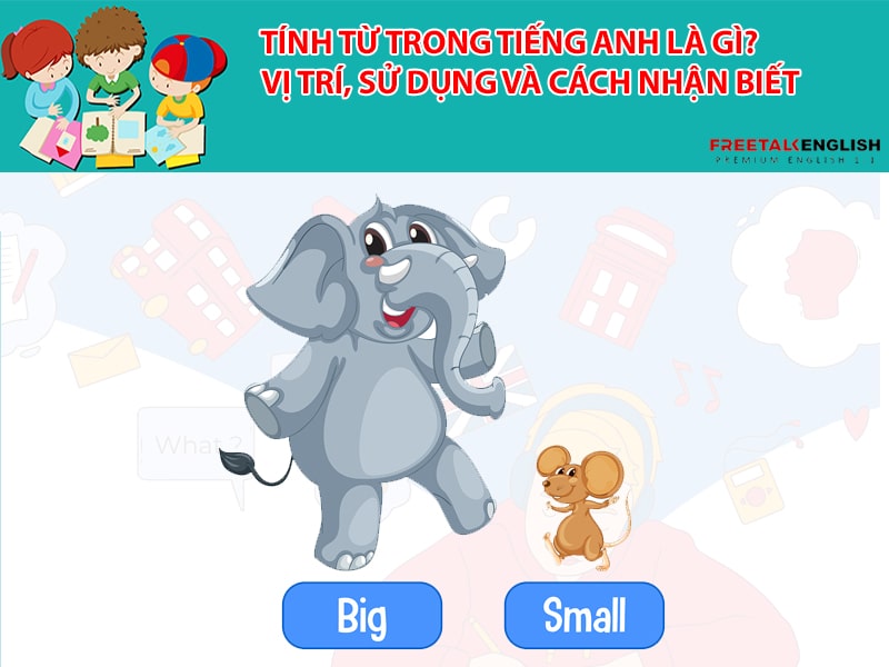 Tính từ trong tiếng Anh là gì? Vị trí, sử dụng và cách nhận biết