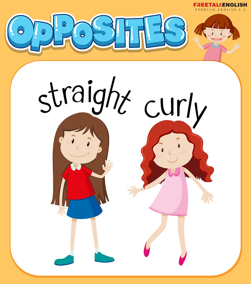 100+ từ vựng tiếng Anh về ngoại hình cơ thể, tính cách con người