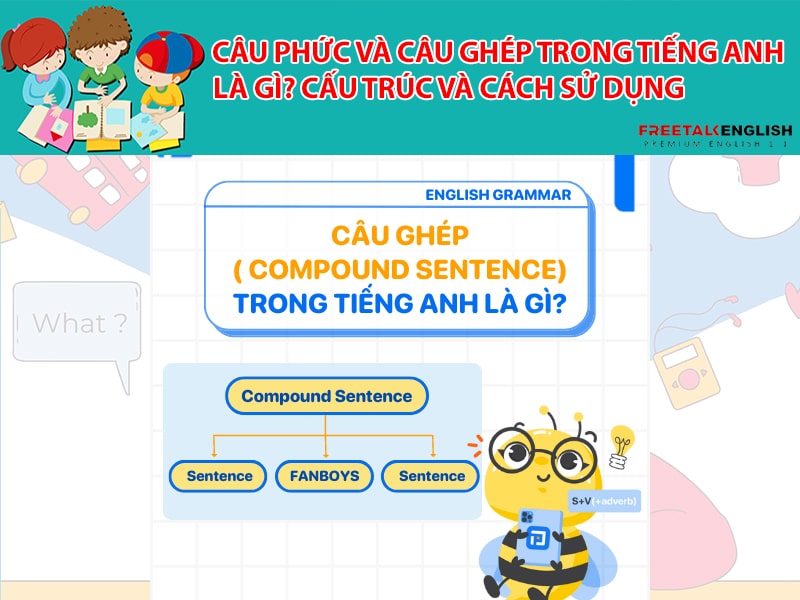 Câu phức và câu ghép trong tiếng Anh là gì? Cấu trúc và cách sử dụng