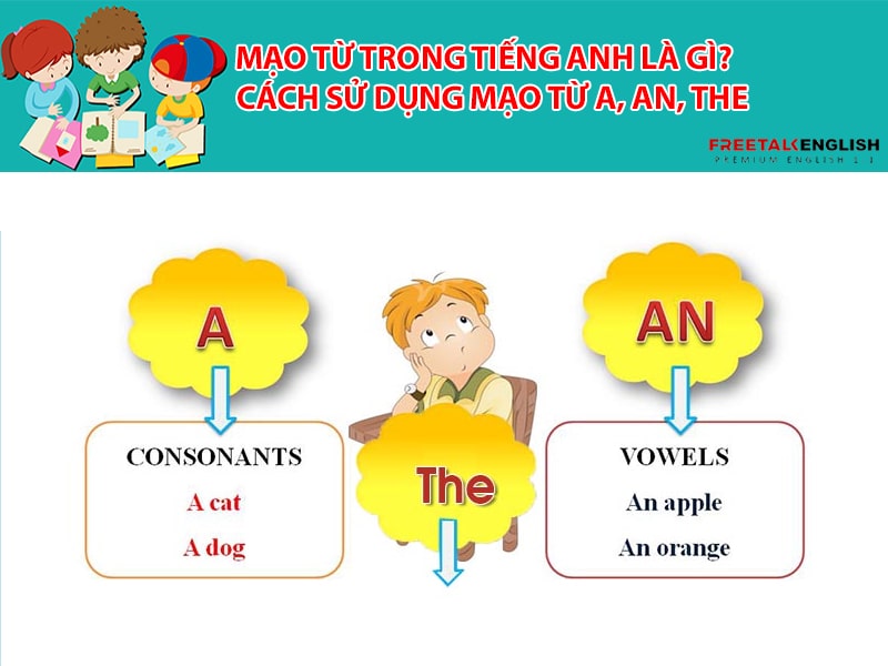 Mạo từ trong tiếng Anh là gì? Cách sử dụng mạo từ a, an, the