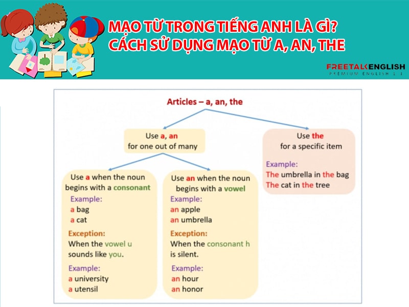Mạo từ trong tiếng Anh là gì? Cách sử dụng mạo từ a, an, the