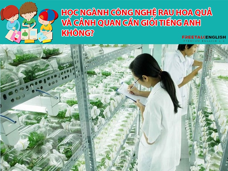 Học Ngành Công nghệ rau hoa quả và cảnh quan cần giỏi Tiếng Anh không?