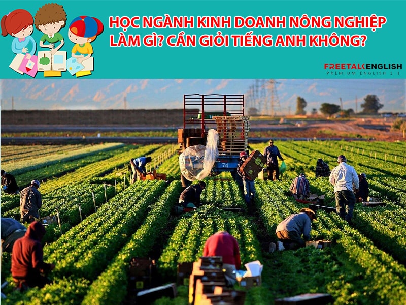Học ngành Kinh doanh nông nghiệp làm gì? Cần giỏi Tiếng Anh không?