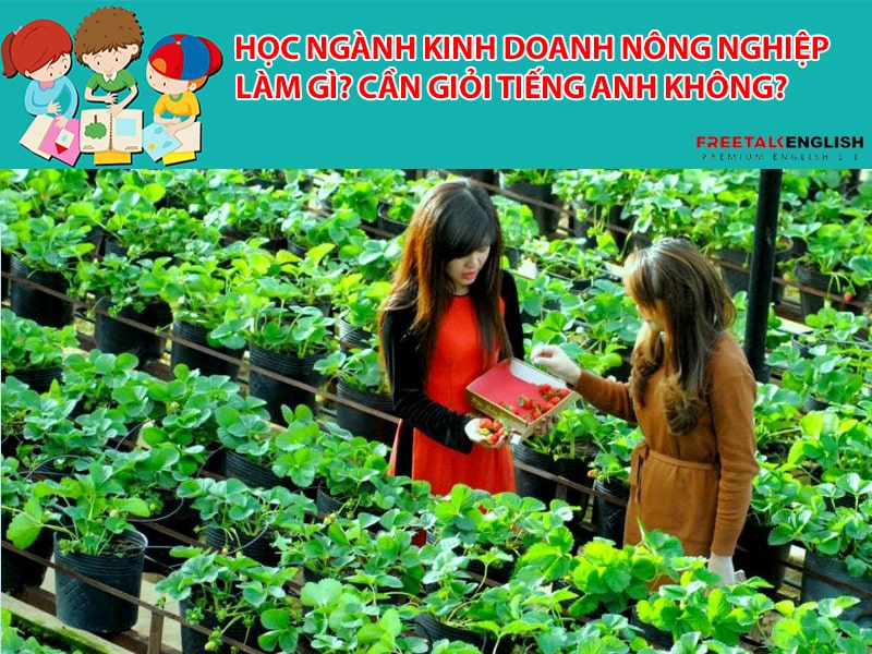 Học ngành Kinh doanh nông nghiệp làm gì? Cần giỏi Tiếng Anh không?