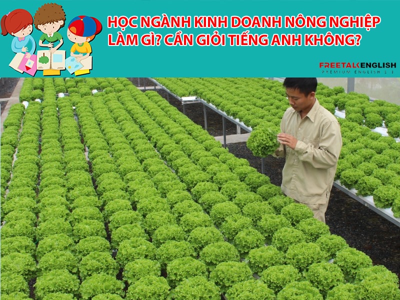 Học ngành Kinh doanh nông nghiệp làm gì? Cần giỏi Tiếng Anh không?