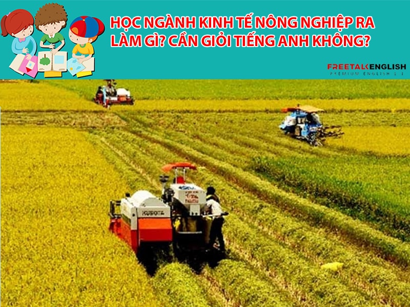 Học ngành Kinh tế nông nghiệp ra làm gì? Cần giỏi Tiếng Anh không?
