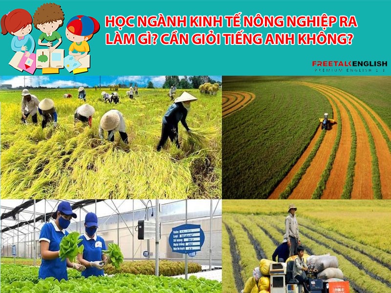 Học ngành Kinh tế nông nghiệp ra làm gì? Cần giỏi Tiếng Anh không?