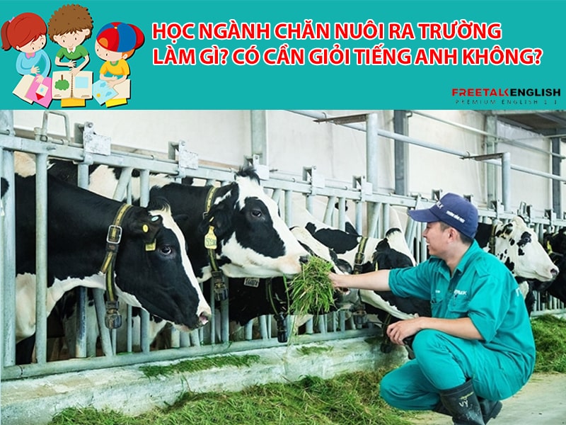 Học ngành chăn nuôi ra trường làm gì? Có cần giỏi Tiếng Anh không?