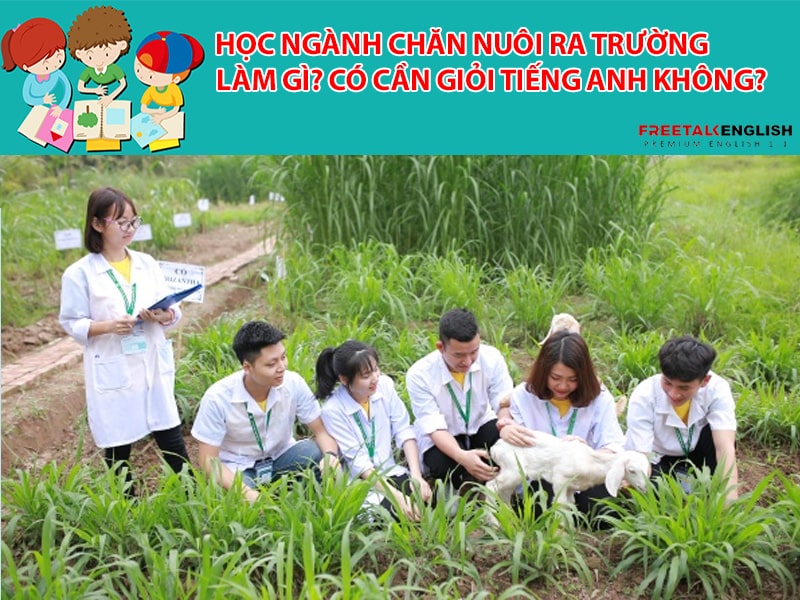 Học ngành chăn nuôi ra trường làm gì? Có cần giỏi Tiếng Anh không?