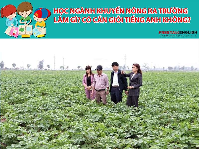 Học ngành Khuyến nông ra trường làm gì? Có cần giỏi Tiếng Anh không?