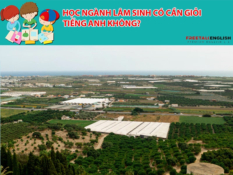 Học ngành lâm sinh có cần giỏi tiếng anh không?