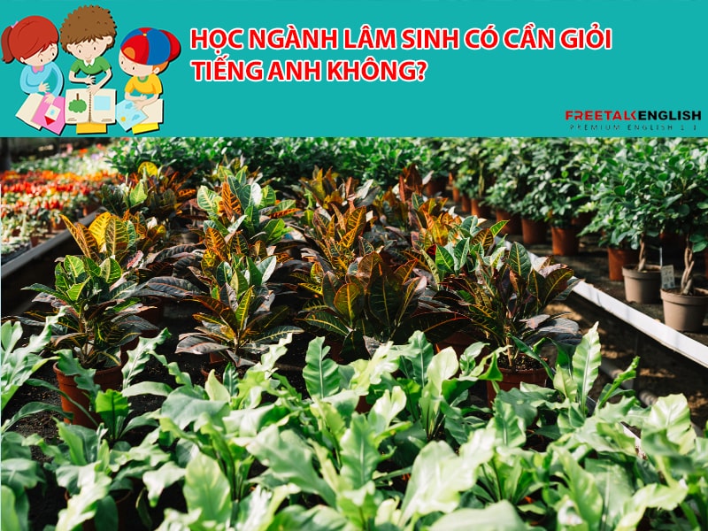 Học ngành lâm sinh có cần giỏi tiếng anh không?