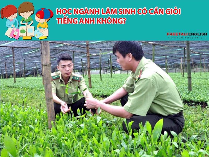 Học ngành lâm sinh có cần giỏi tiếng anh không?