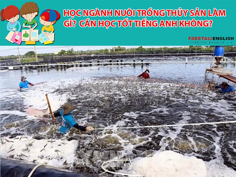 Học ngành nuôi trồng thủy sản làm gì? Cần học tốt Tiếng Anh không?