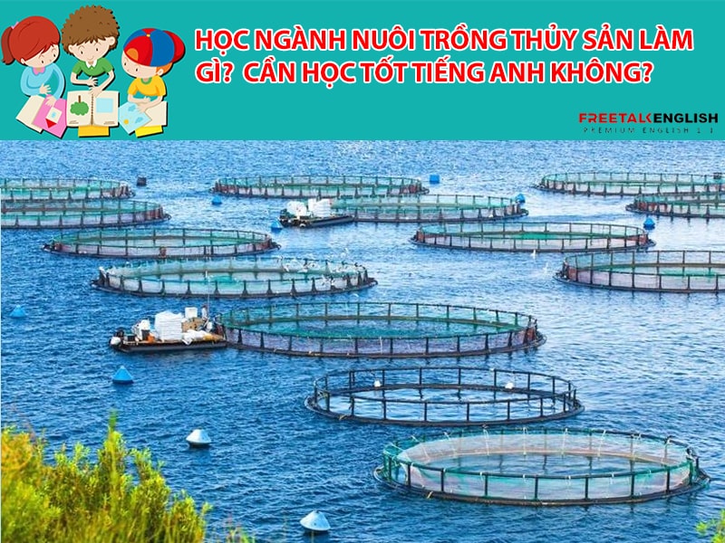 Học ngành nuôi trồng thủy sản làm gì? Cần học tốt Tiếng Anh không?