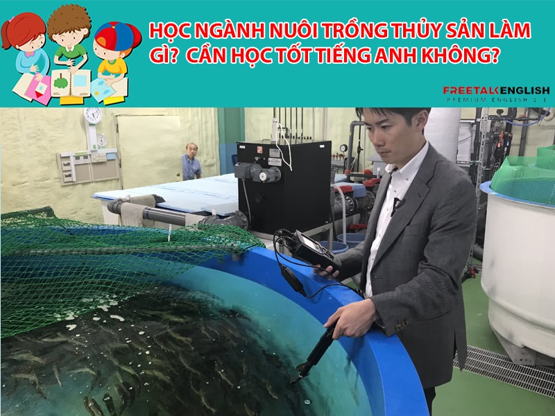 Học ngành nuôi trồng thủy sản làm gì? Cần học tốt Tiếng Anh không?