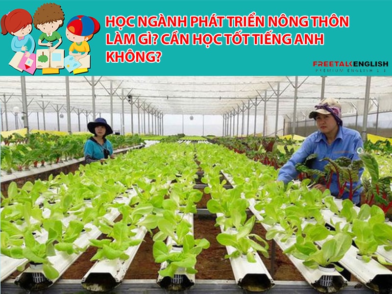 Học ngành phát triển nông thôn làm gì? Cần học tốt Tiếng Anh không?