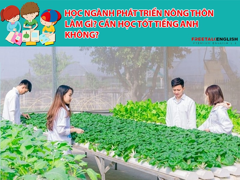 Học ngành phát triển nông thôn làm gì? Cần học tốt Tiếng Anh không?