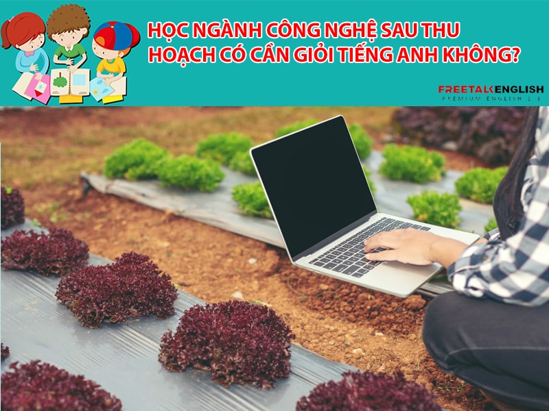 Học ngành công nghệ sau thu hoạch có cần giỏi tiếng anh không?