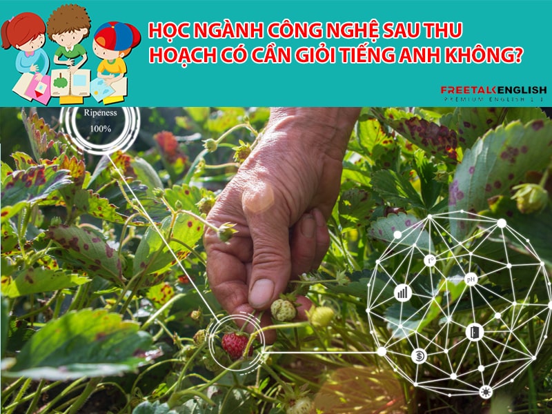 Học ngành công nghệ sau thu hoạch có cần giỏi tiếng anh không?