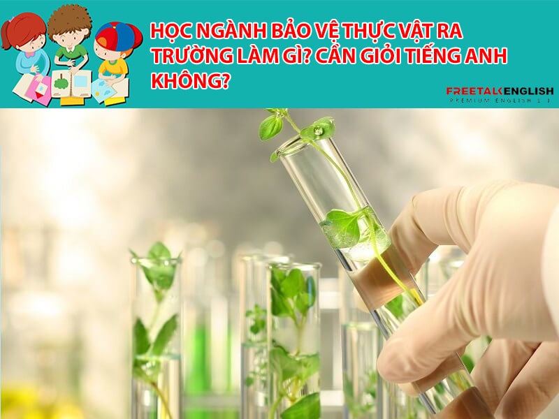 Học ngành bảo vệ thực vật ra trường làm gì? Cần giỏi Tiếng Anh không?