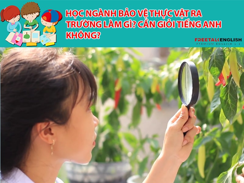Học ngành bảo vệ thực vật ra trường làm gì? Cần giỏi Tiếng Anh không?