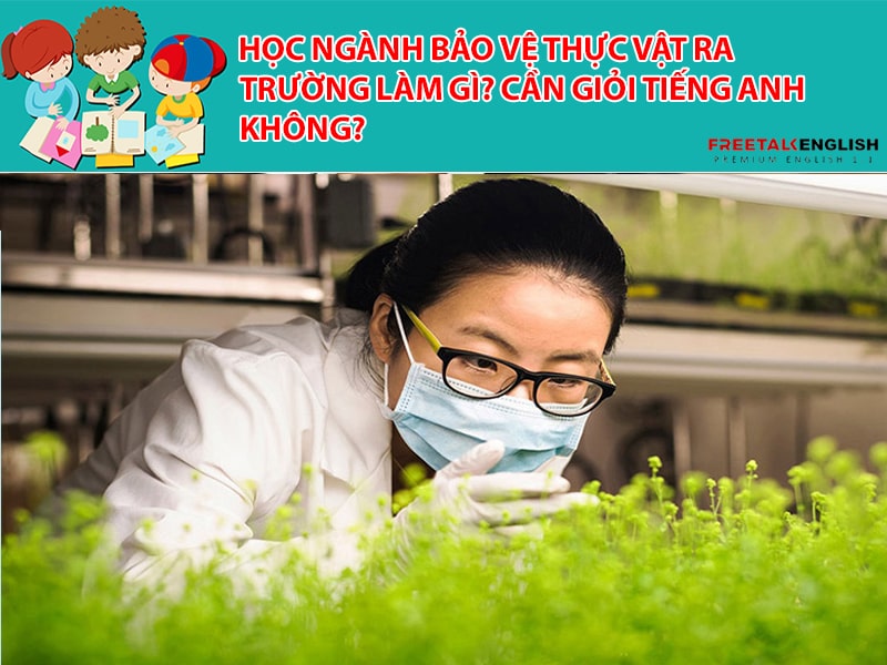 Học ngành bảo vệ thực vật ra trường làm gì? Cần giỏi Tiếng Anh không?