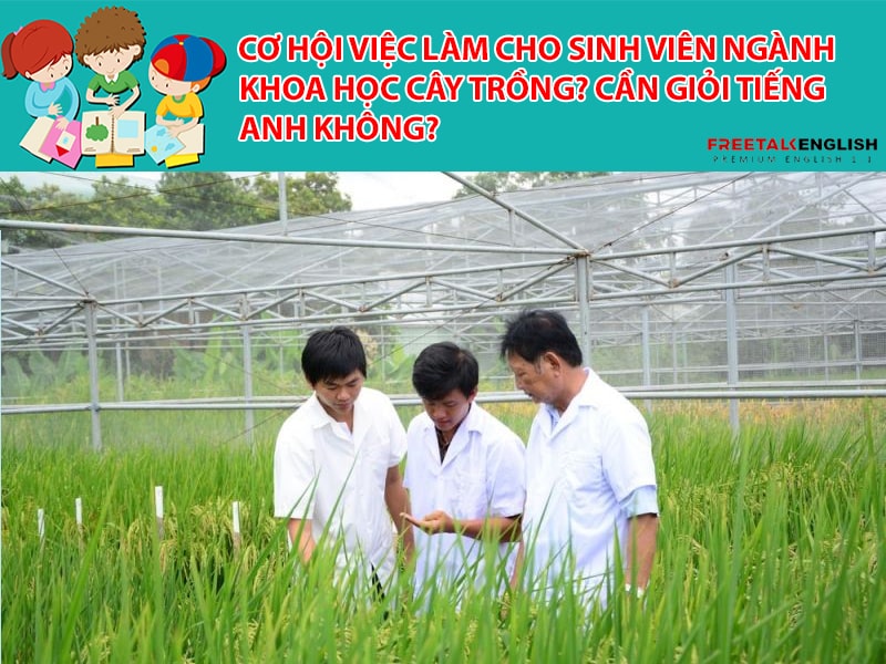 Cơ hội việc làm cho sinh viên ngành khoa học cây trồng? Cần giỏi Tiếng Anh không?