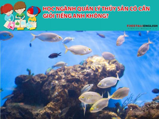 Học ngành quản lý thủy sản có cần giỏi tiếng Anh không?