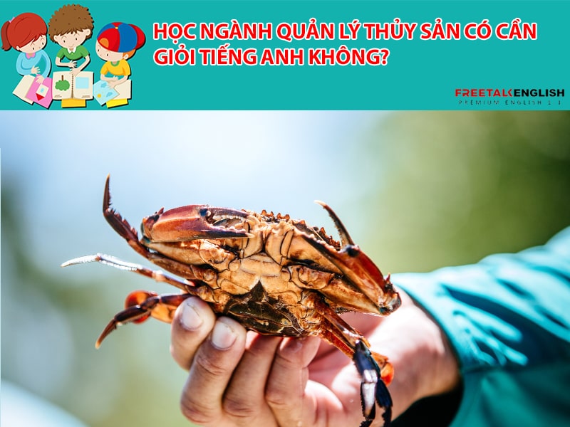Học ngành quản lý thủy sản có cần giỏi tiếng Anh không?