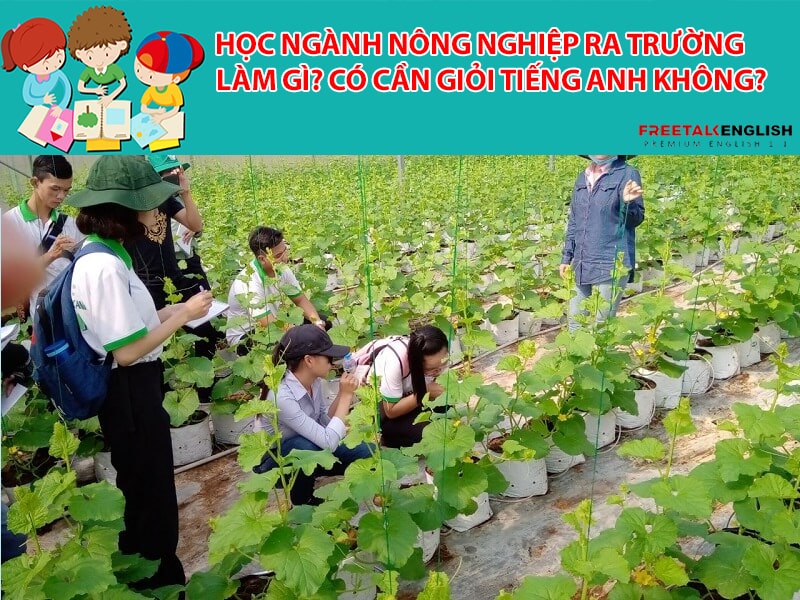 Học ngành Nông nghiệp ra trường làm gì? Có cần giỏi Tiếng Anh không?